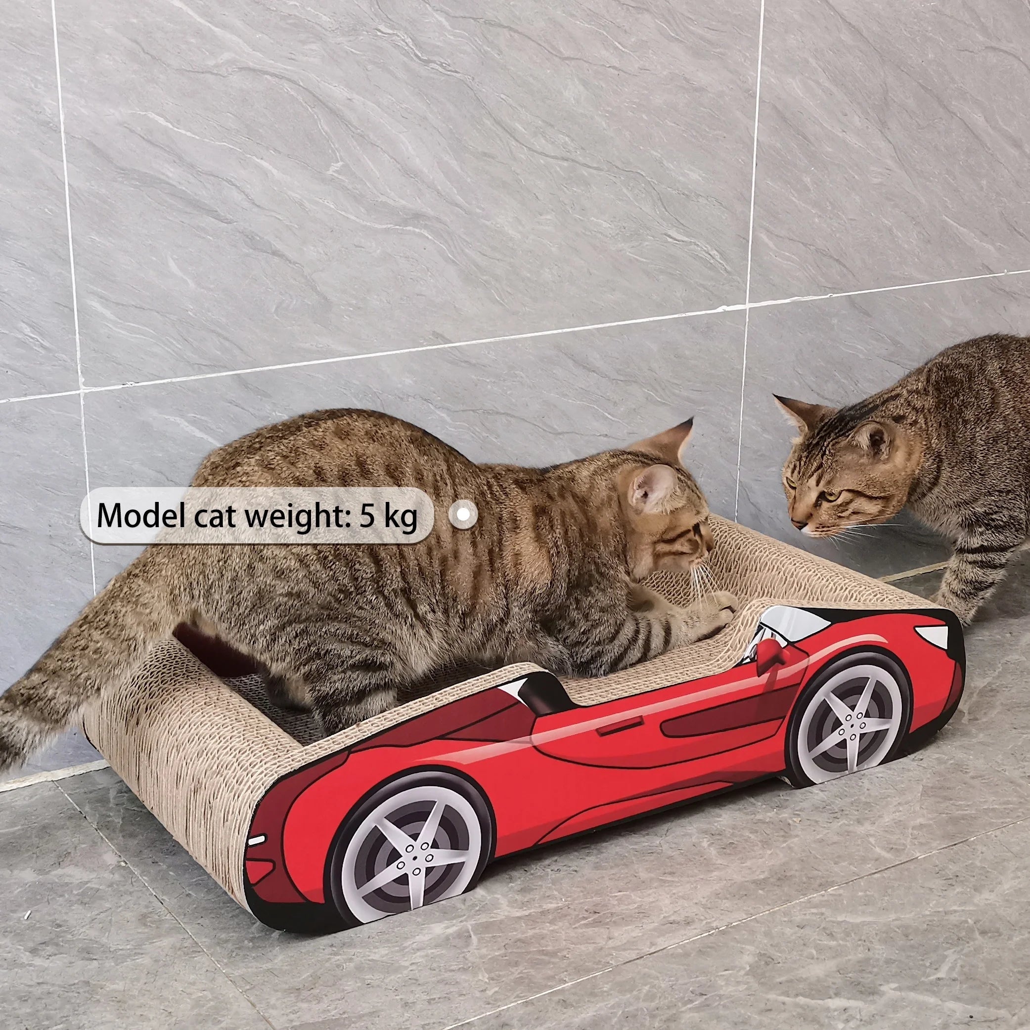 Cute Cat Beds Kitten Bed Soft and Cozy Small Dog Beds with Pillow Washable Pet Mat for Puppy and Kitty Funny Supercar Cat Toys
