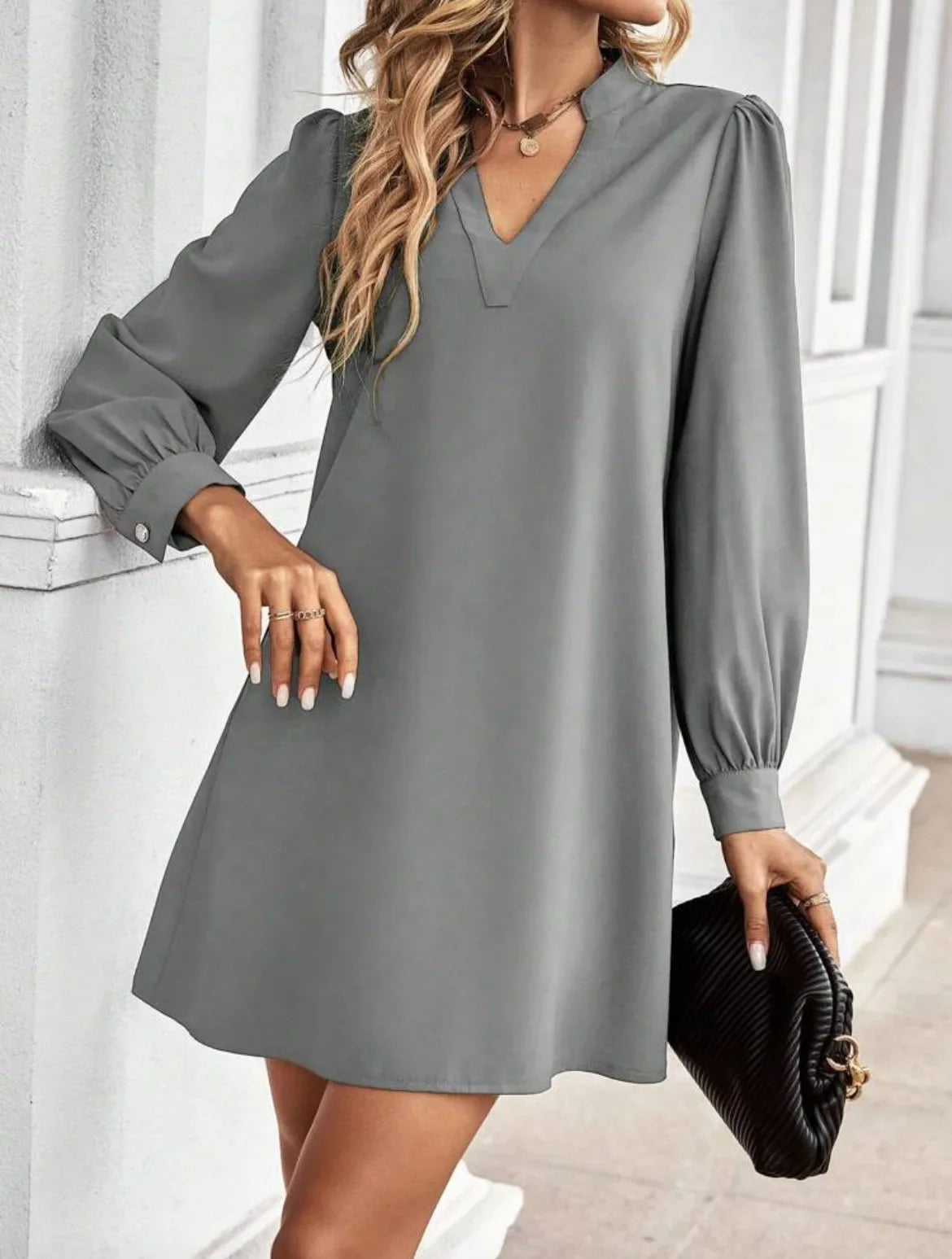 V-Neck Long Sleeve Mini Dress