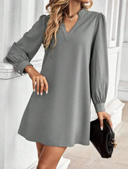 V-Neck Long Sleeve Mini Dress