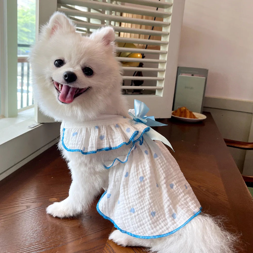 Sweet Cotton Pet Skirt Dress