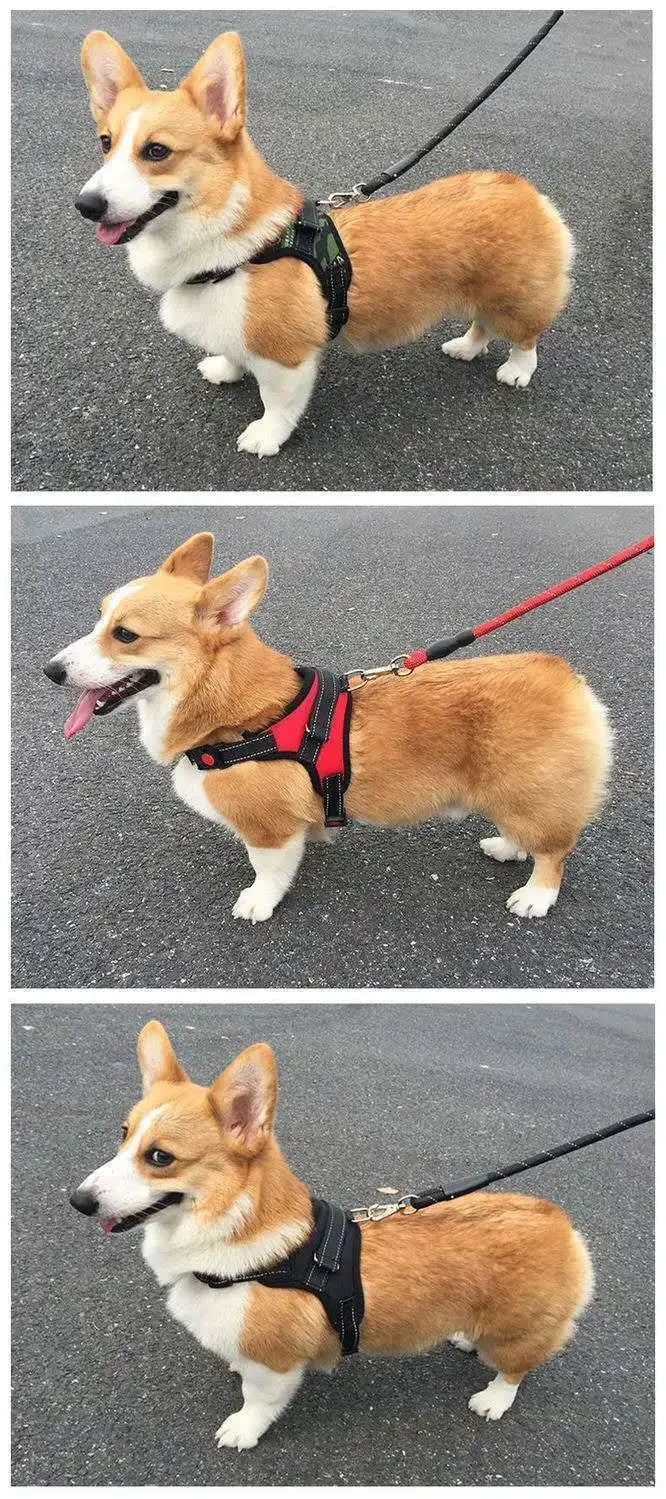 Quick Release Breathable Puppy Harness