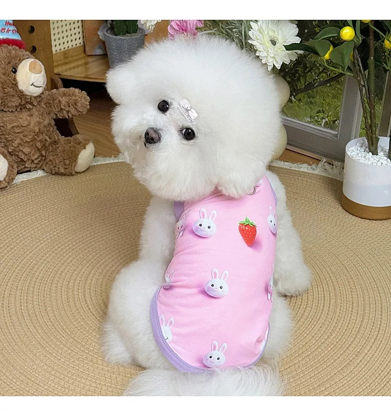 Spring pet apparel: cat & dog clothing - cartoon 3d print, teddy style, cute & breathable, anti-shedding, dropshipping available