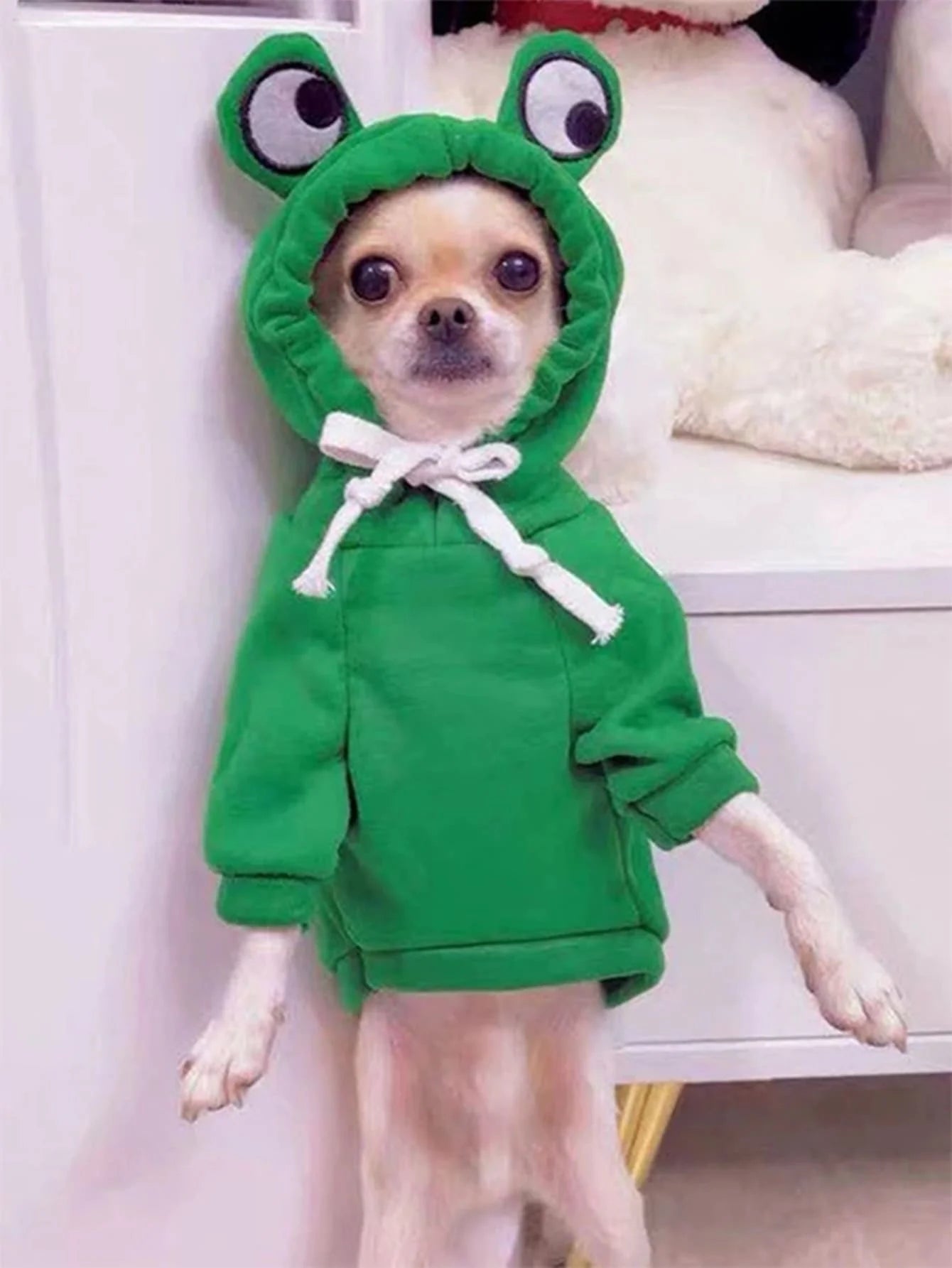 Cute Green Frog Pet Sweater