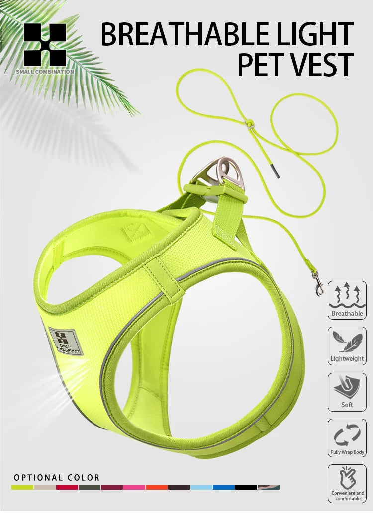 Reflective Outdoor Walking Harness Set