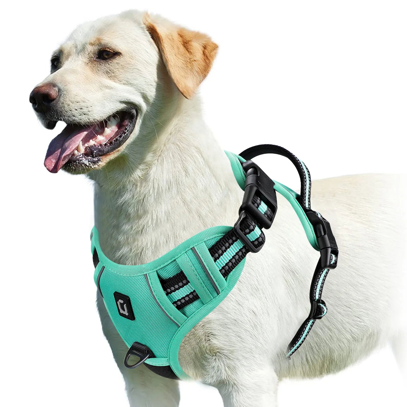 Easy Control Handle No-Pull Vest