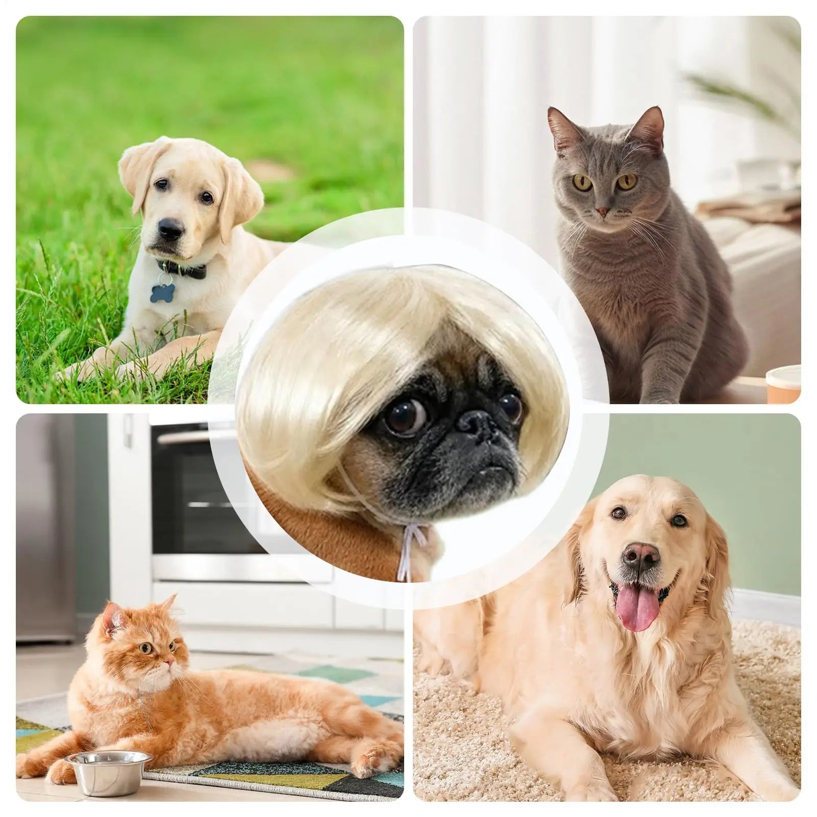 Pet Wig Accessories Dog Headdress Funny Costume Puppy Cosplay Dress Up Cute Pet Wig Cosplay Funny Props Head Accessories