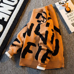 Graphic Knit Crew Pullover Sweater