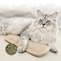Chew Resistant Cat Scratch Pillow