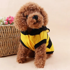 Fashion Bear Warm Coat Hoodie