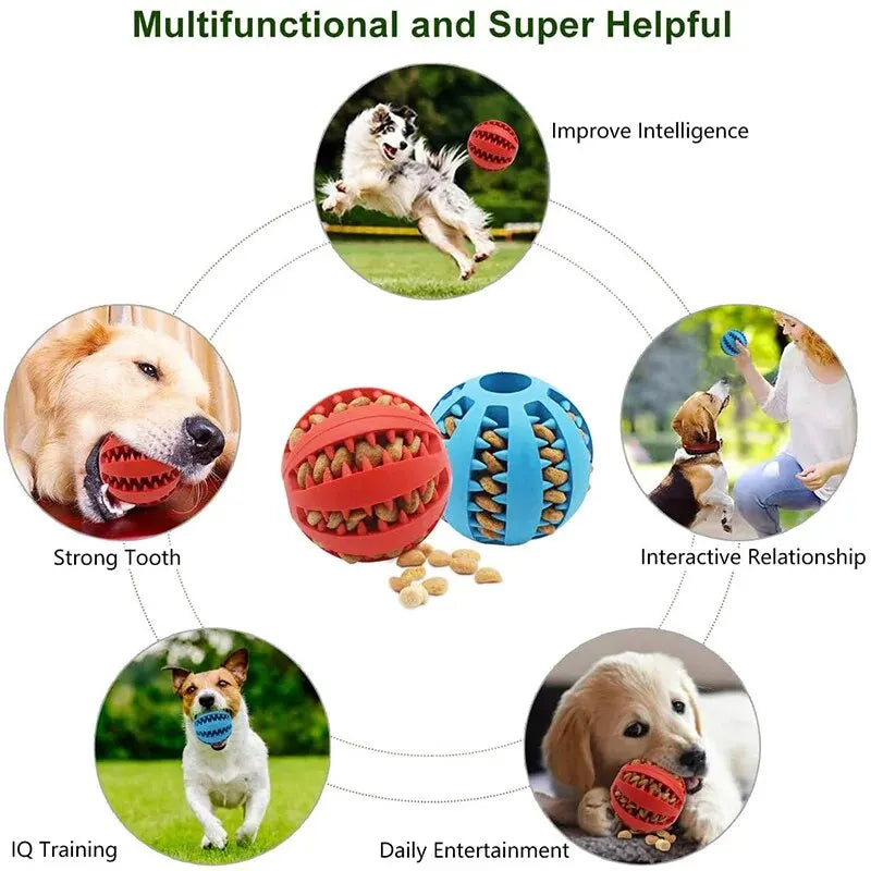 Nontoxic Bite Resistant Treat Ball