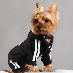 Comfortable Spring Dog Sports Suit