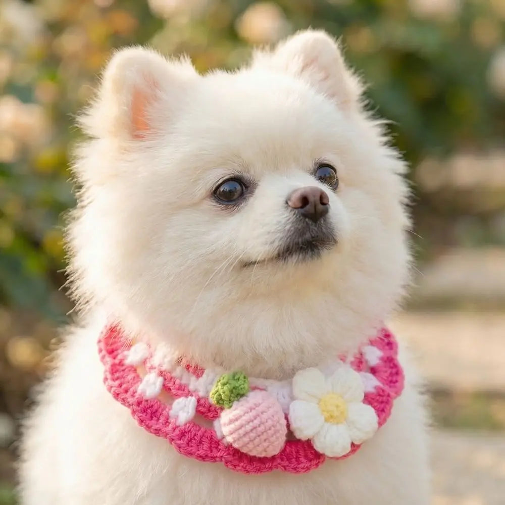 Pet Accessories Adjustable Flower Pet Scarf Bib Sweet Handmade Cat Strawberry Collar Decorative Cozy Cat Woven Bib Photo Shoots