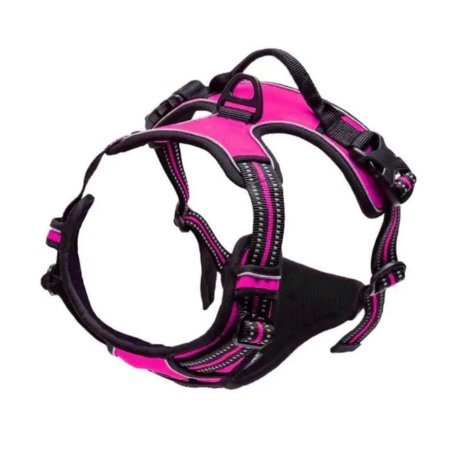 Complete Dog Collar Harness Set