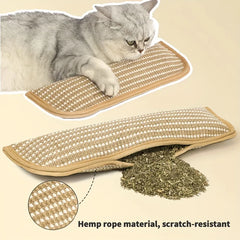Chew Resistant Cat Scratch Pillow