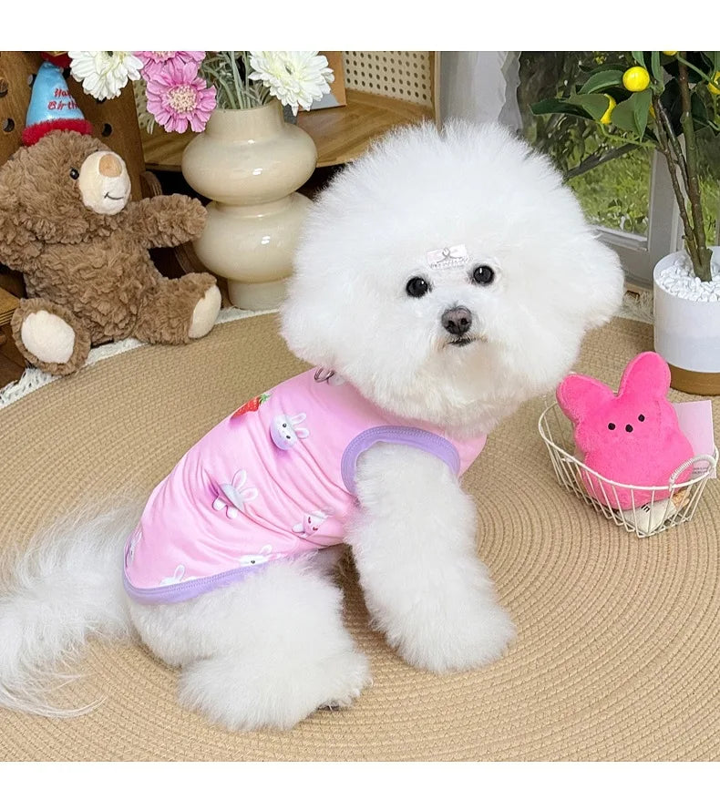 Spring pet apparel: cat & dog clothing - cartoon 3d print, teddy style, cute & breathable, anti-shedding, dropshipping available