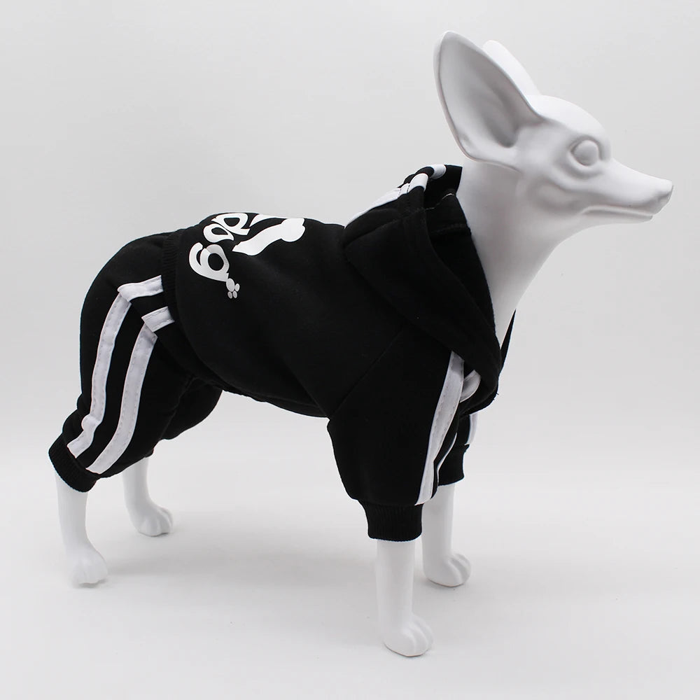Comfortable Spring Dog Sports Suit