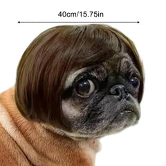 Pet Wig Accessories Dog Headdress Funny Costume Puppy Cosplay Dress Up Cute Pet Wig Cosplay Funny Props Head Accessories