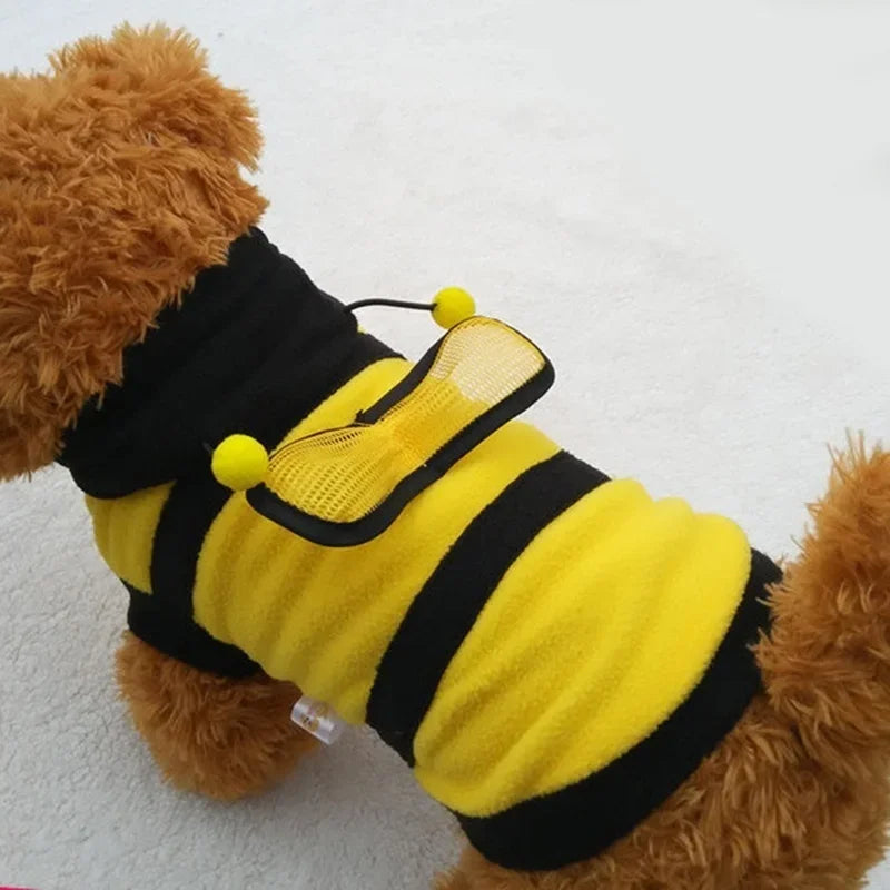 Fashion Bear Warm Coat Hoodie