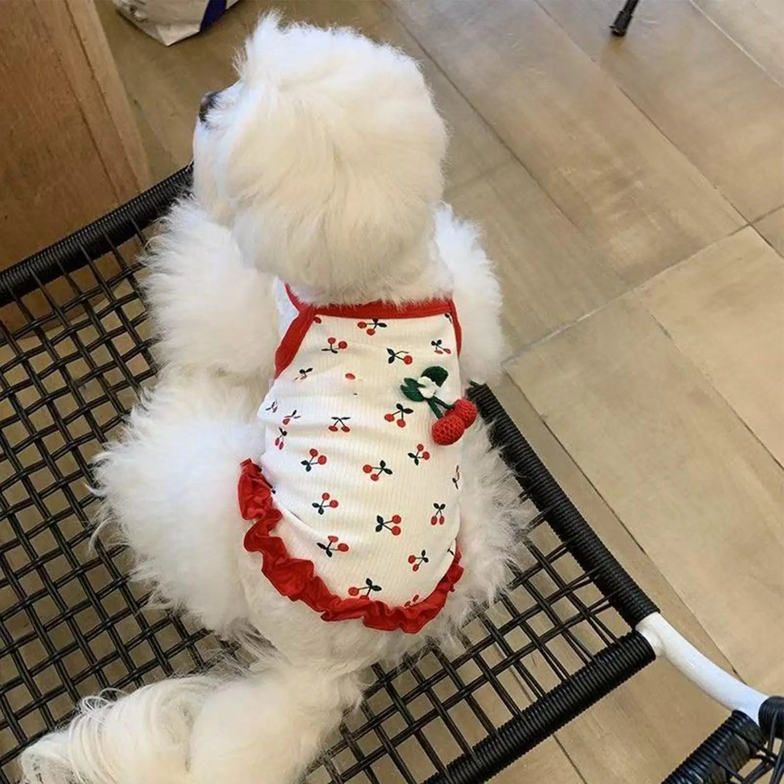 Breathable Cotton Puppy Vest Outfit