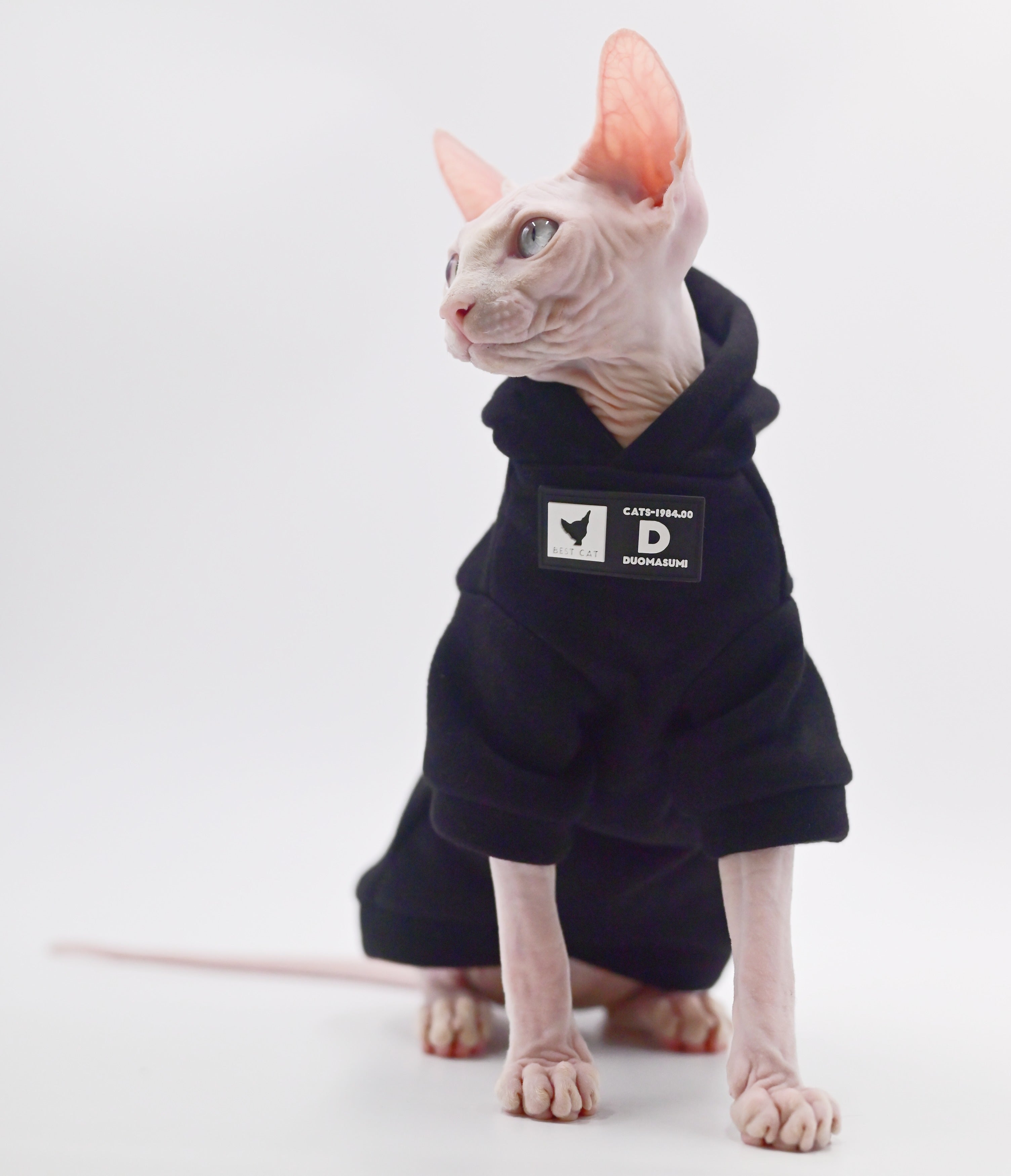 Hairless Cat Fashion Pullover Hoodie