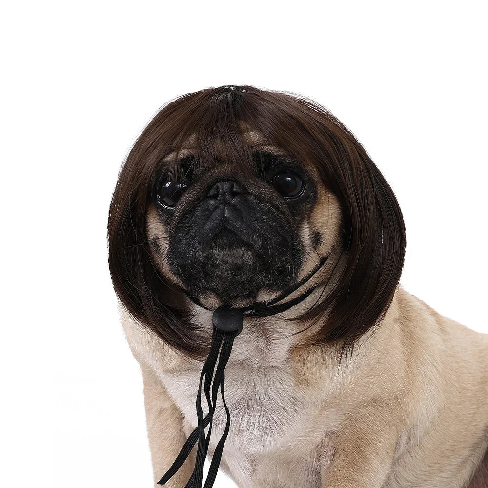 Pet Wigs Cosplay Props Dog Cat Cross-Dressing Hair Set Photography Funny Props Head Accessories Prank Pet Supplies Costumes DIY