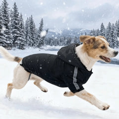 Windproof Reflective Winter Dog Coat