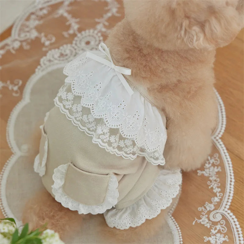 Cute Lace Pet Overalls Jumpsuit