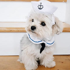 Navy Sailor Pet Halloween Costume