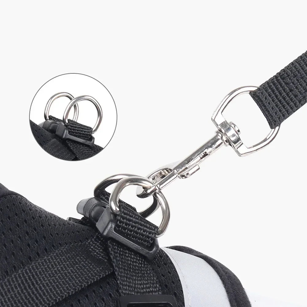 Escape-Proof Mesh Cat Harness Set