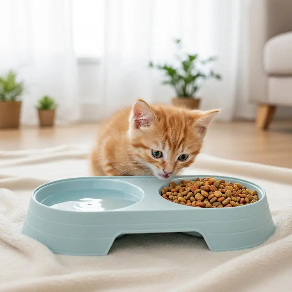 Non-Slip Double Pet Bowls Food & Water Feeder for Cats and Small Dogs BPA-Free Easy-Clean Raised Pet Dishes in 4 Colors