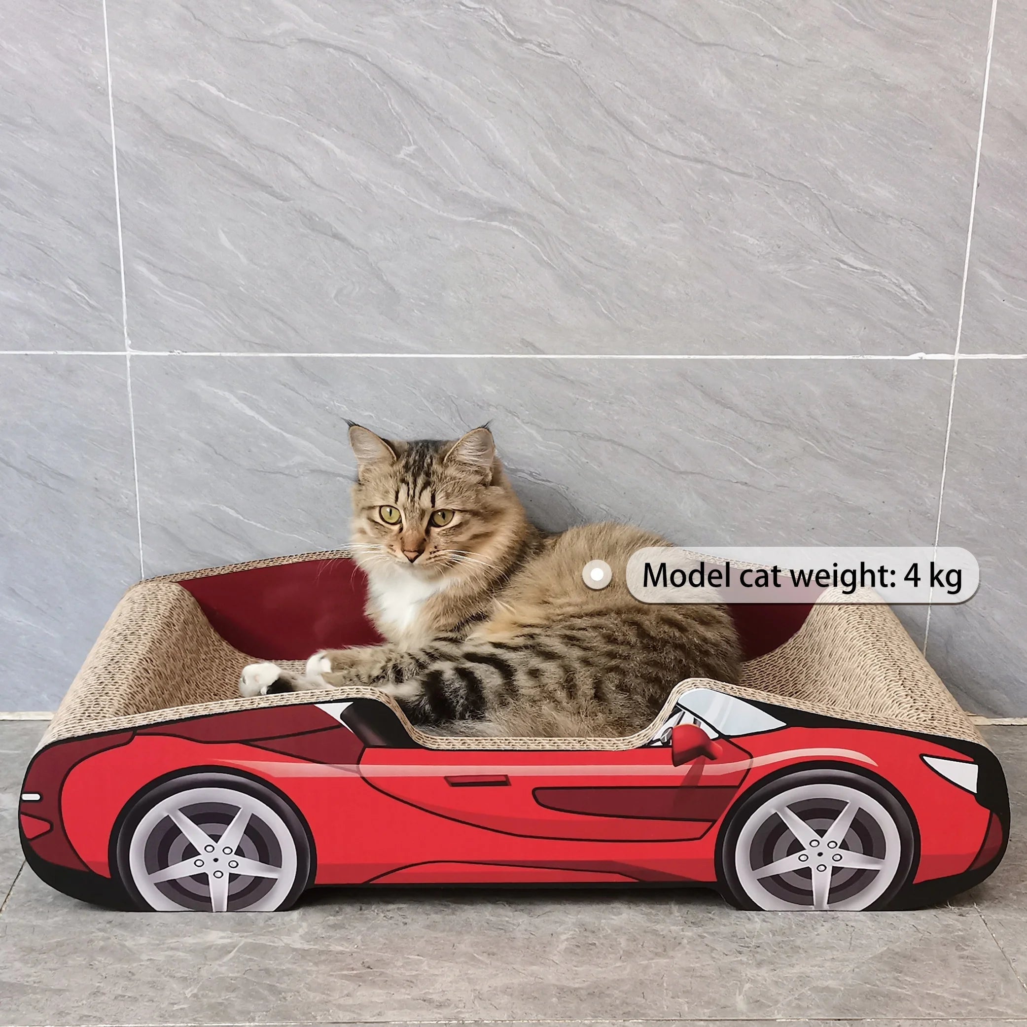 Cute Cat Beds Kitten Bed Soft and Cozy Small Dog Beds with Pillow Washable Pet Mat for Puppy and Kitty Funny Supercar Cat Toys