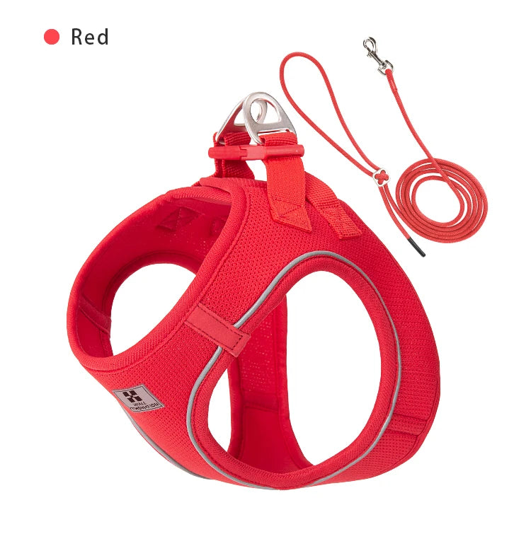 Reflective Outdoor Walking Harness Set
