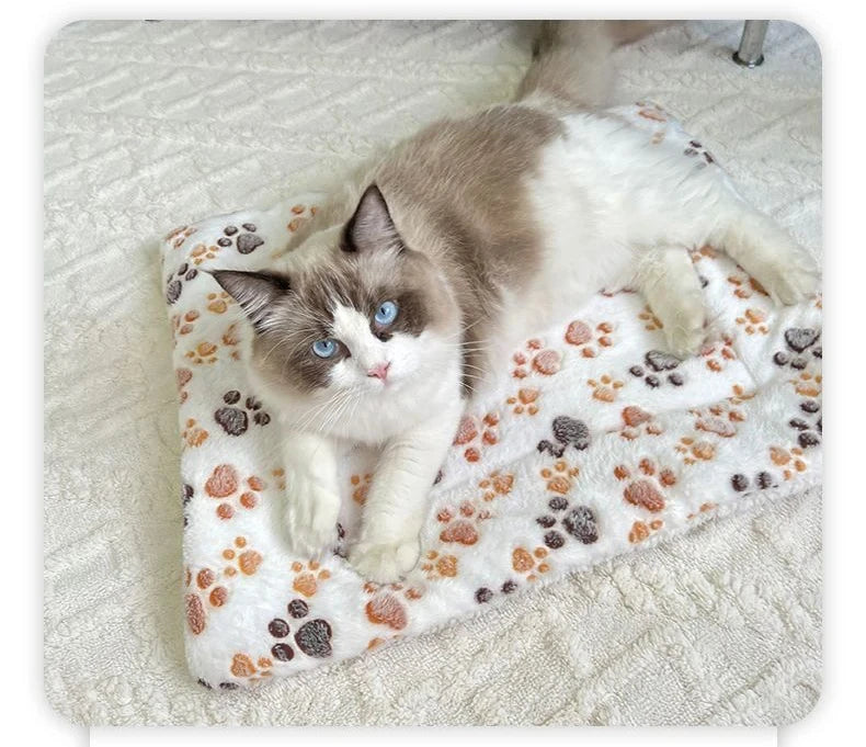 Flannel Winter Sleeping Mattress Cushion