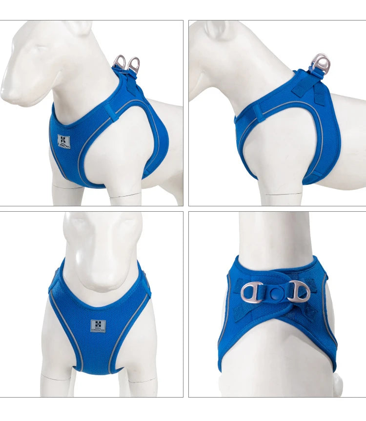 Reflective Outdoor Walking Harness Set