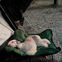 Foldable Outdoor Pet Bed Waterproof Detachable Kennel with Bite Resistant Comfort Pad for Dogs Cats Camping Travel Pet Supplies