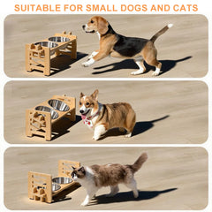 Elevated Small Toy Dog Cat Bowls Tilted Adjustable Puppy Feeder Stand with 2 Stainless Steel Bowls for Puppies Cats Accessories