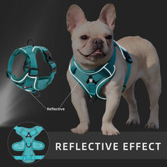 Harness and Leash Set Pet Accessories Dog Harness For Small Dog French Bulldog Pug Pitbull Puppy Pectoral Collar Chiens Supplies