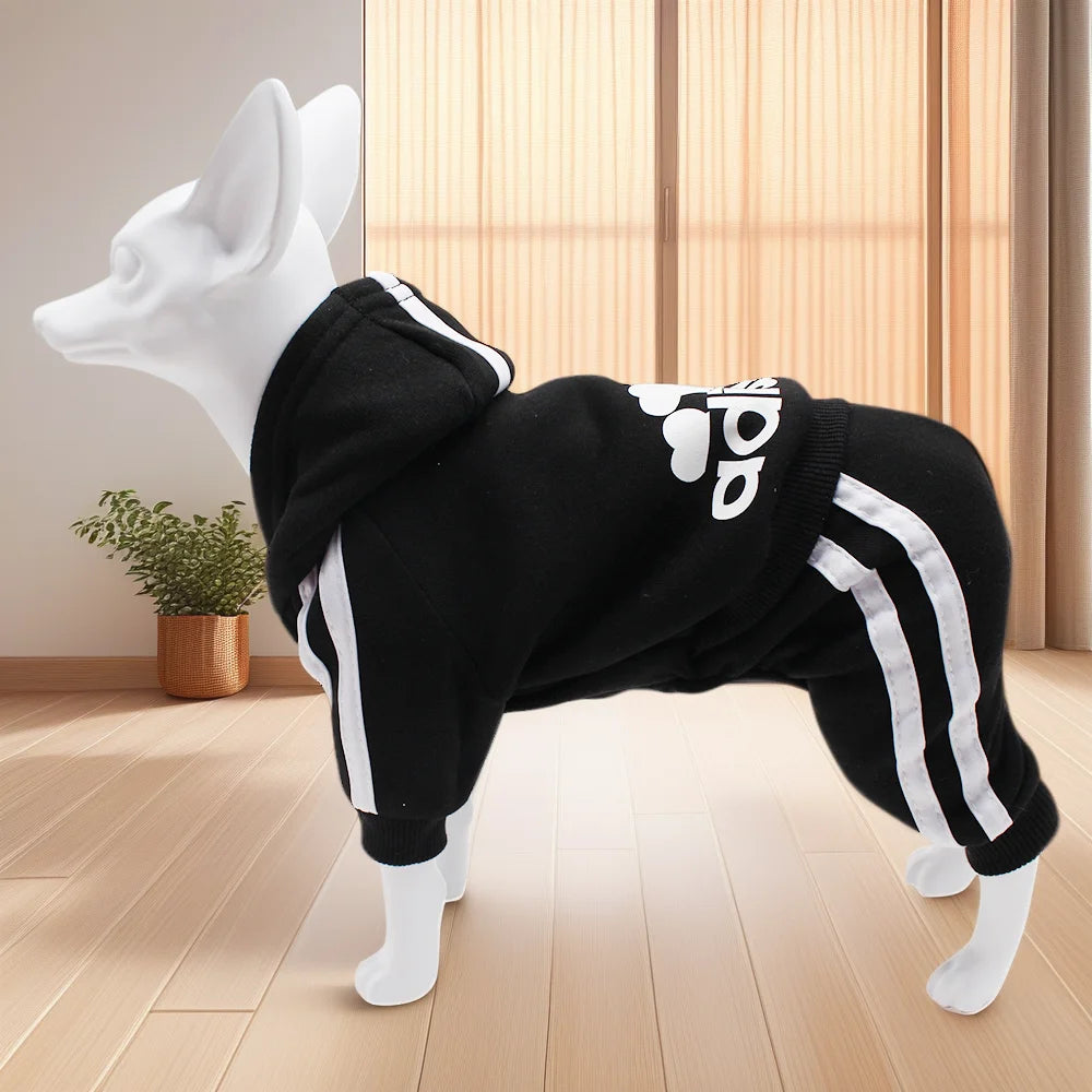 Comfortable Spring Dog Sports Suit