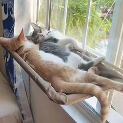 Suction Cup Window Hammock Bed