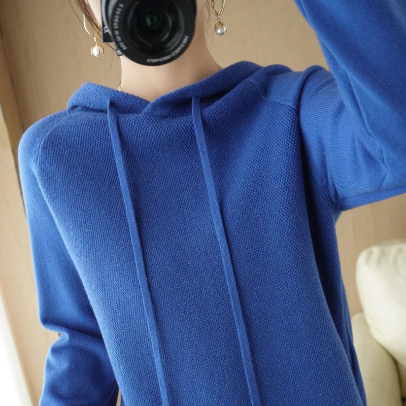 Soft Knit Hooded Pullover Sweater