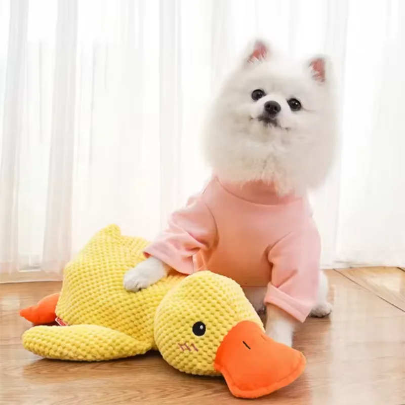 Cuddly Yellow Duck Squeak Toy