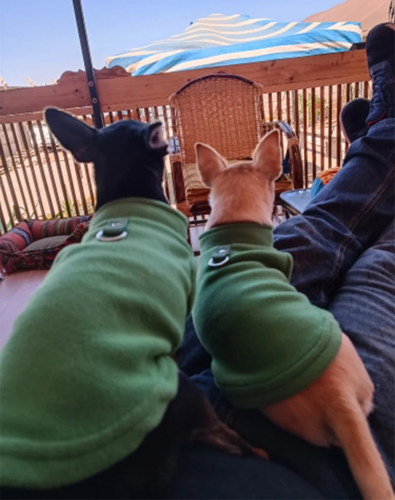 D-Ring Warm Fleece Dog Vest