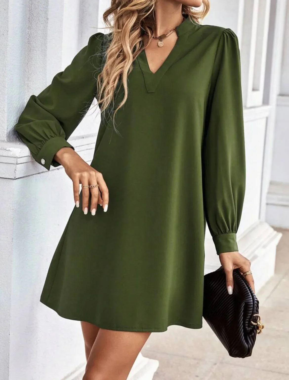 V-Neck Long Sleeve Mini Dress