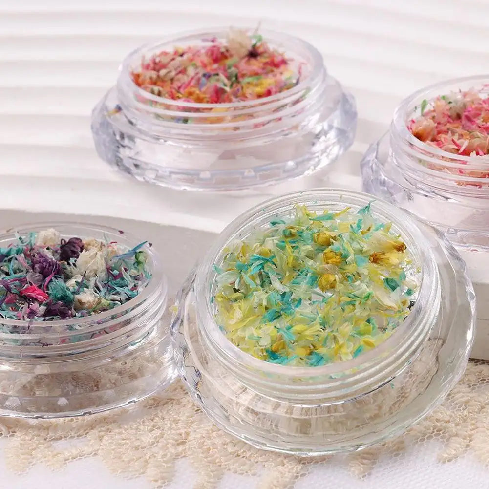 Nail Art Dried Flower Decoration Nail DIY Manicure For Nails Art Jewelry Flower Beauty Salon Decoration E3C5