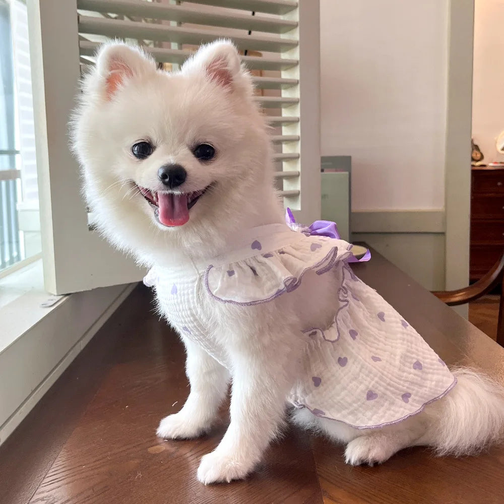 Sweet Cotton Pet Skirt Dress