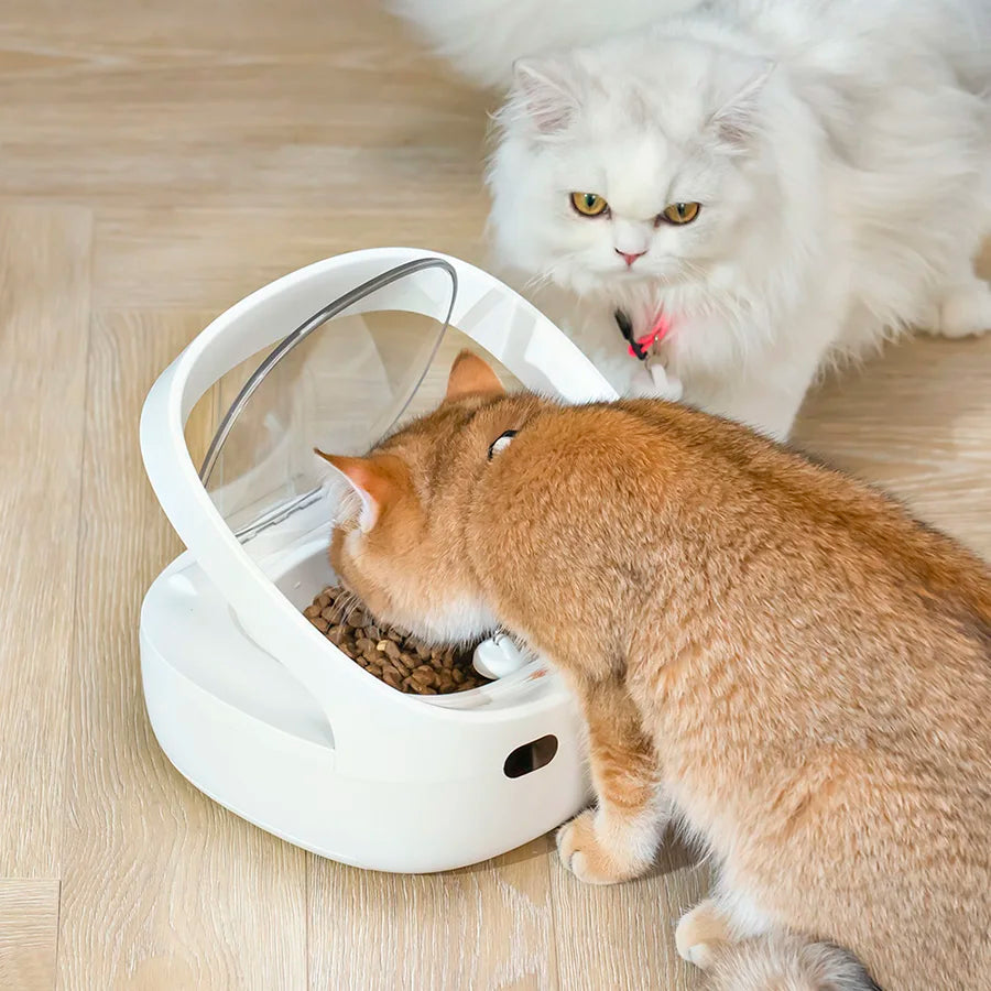 New Petoneer NutriCare Feeder Tailored For Multi-Pet Households Pet feeder Cat And Dog Feeder With App