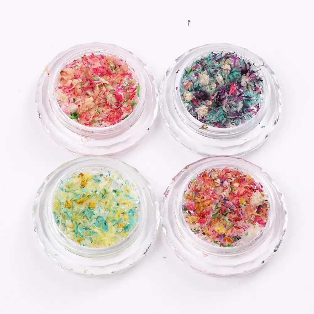 Nail Art Dried Flower Decoration Nail DIY Manicure For Nails Art Jewelry Flower Beauty Salon Decoration E3C5