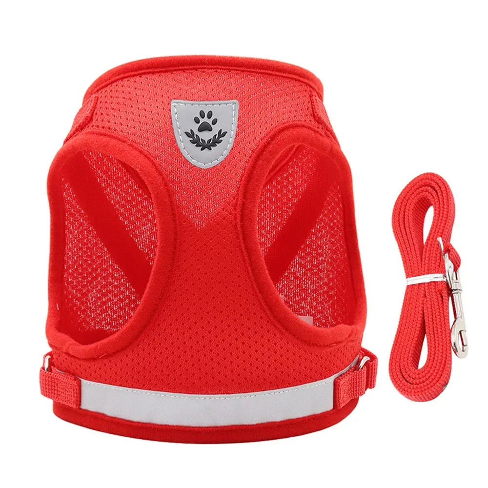 Escape-Proof Mesh Cat Harness Set