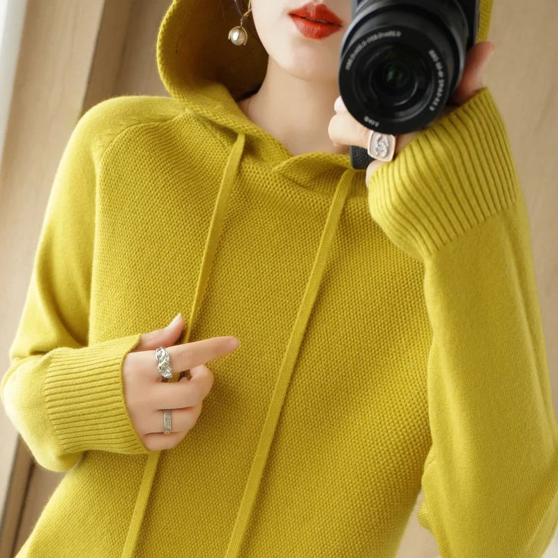 Soft Knit Hooded Pullover Sweater