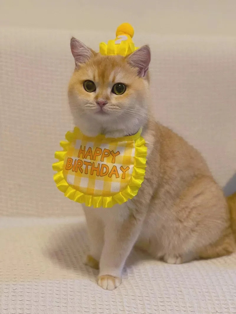 Pet Hat & Bib Set for Cats Birthday , Kitty Party Dress-up Costume Accessories, Adjustable Bandana Photo Props for Celebration